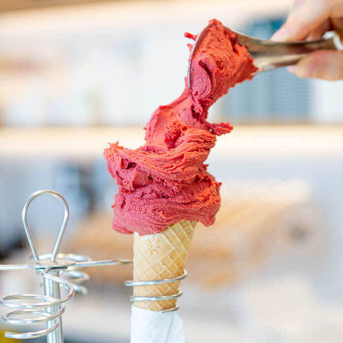 Gelato Gelateria Timballo Fiordilatte Udine