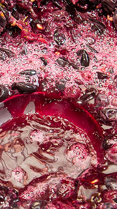 Sorbetto al Mosto di Uva Fragola Gelateria Timballo Fiordilatte Udine