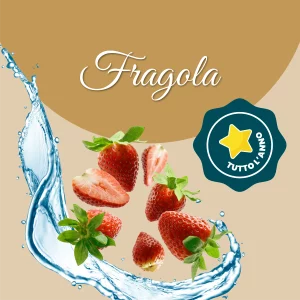 Si vede un'immagine che racchiude i principali ingredienti della fragola: acqua e fragola