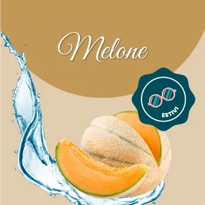 Si vede un'immagine che racchiude i principali ingredienti del melone: acqua e melone