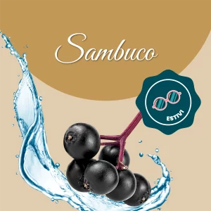 Si vede un'immagine che racchiude i principali ingredienti del sambuco: acqua e bacche di sambuco.