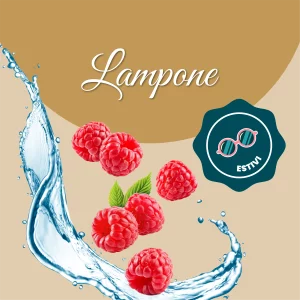Si vede un'immagine che racchiude i principali ingredienti del lampone: acqua e lamponi freschi.