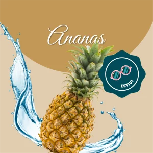 Si vede un'immagine che racchiude i principali ingredienti dell'ananas: acqua e ananas freschi.