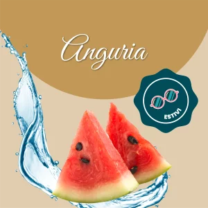 Si vede un'immagine che racchiude i principali ingredienti dell'anguria: acqua e anguria fresca.